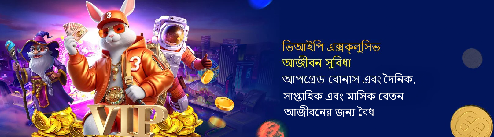 1741349336371_vip1616x450 changed text